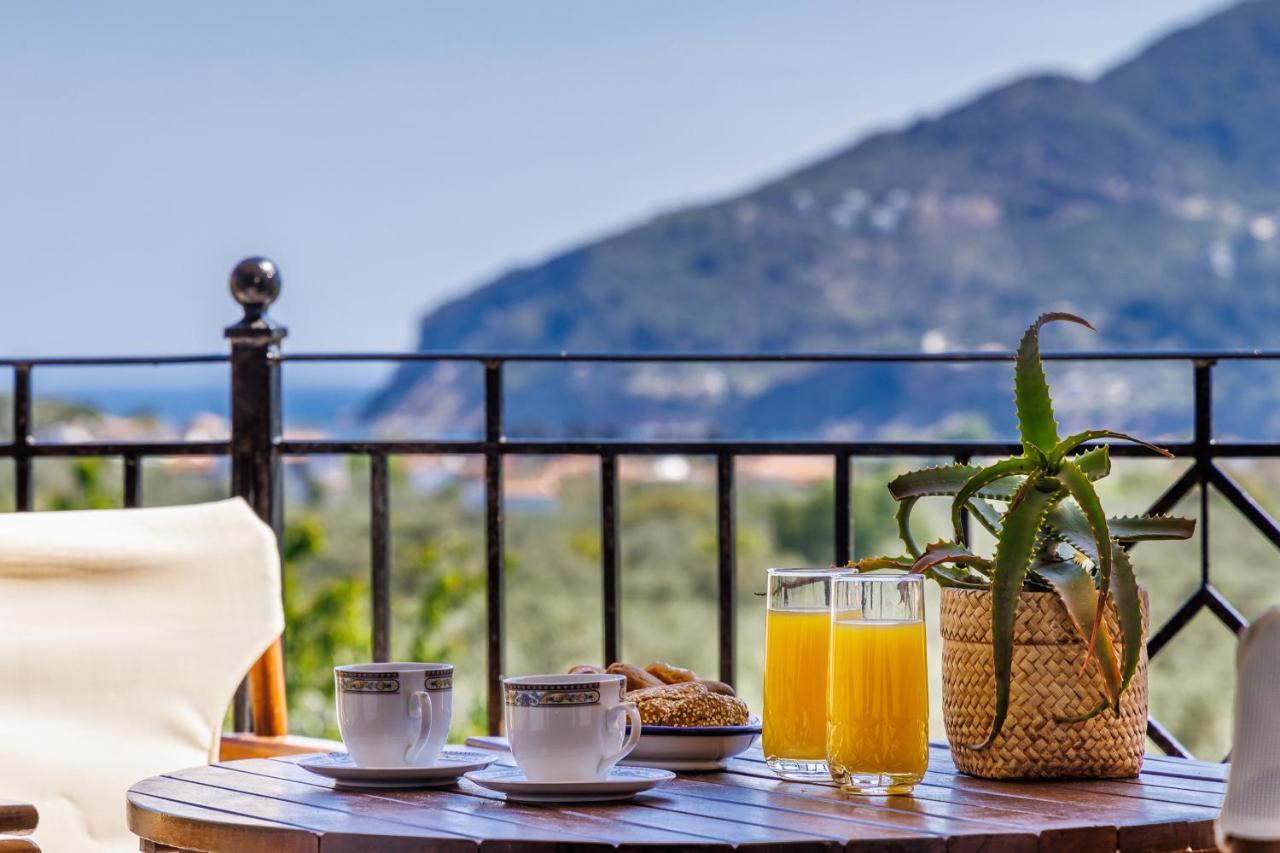 Eleonora'S Villa Skopelos Dış mekan fotoğraf