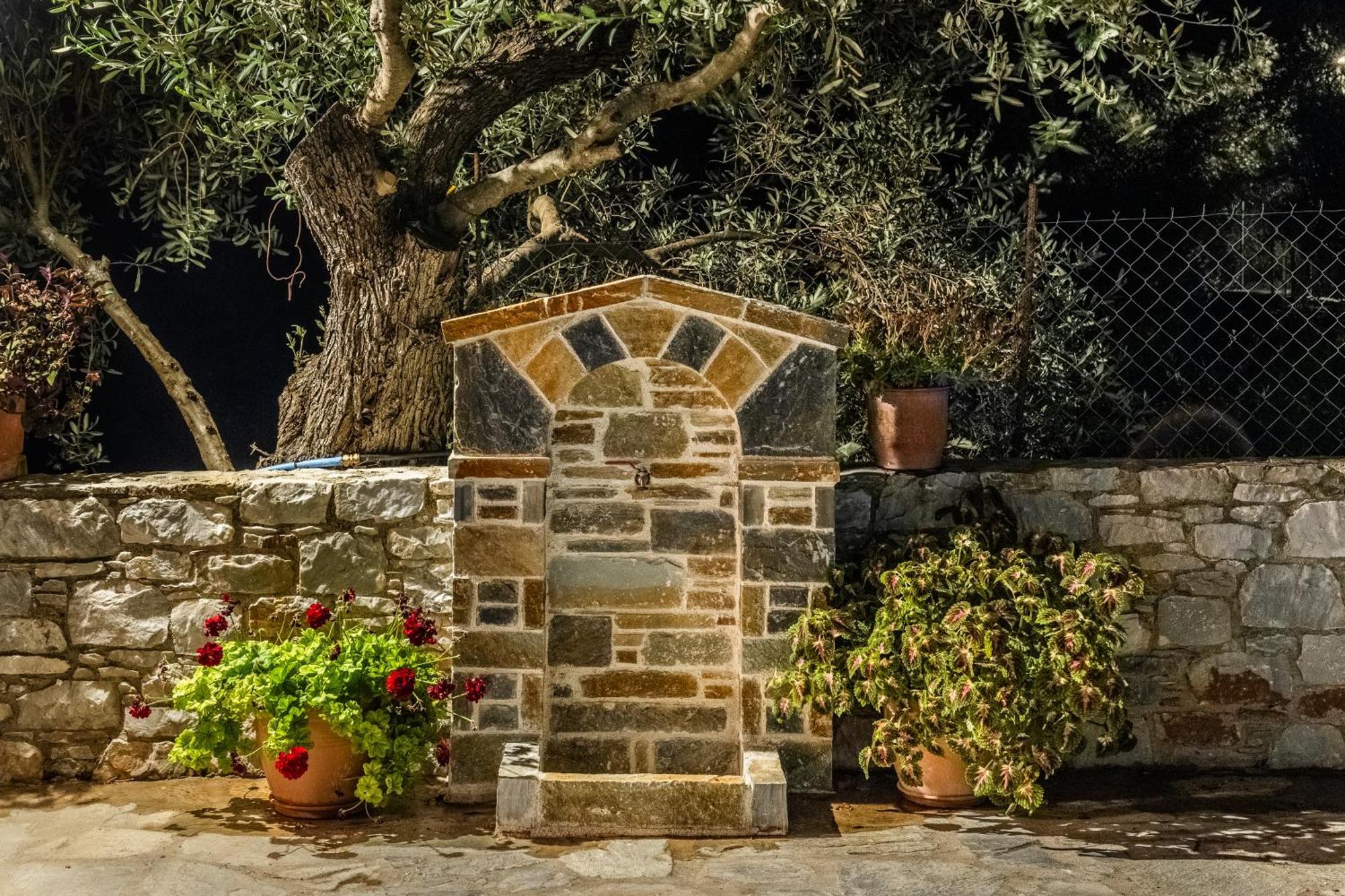 Eleonora'S Villa Skopelos Dış mekan fotoğraf